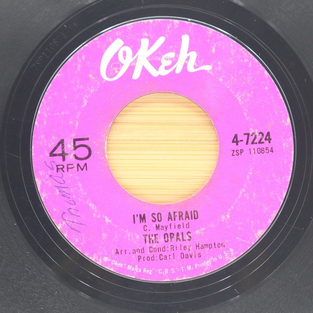 THE OPALS - I'M SO AFRAID / RESTLESS‎ DAYS - SOUL FUNK 45 *HEAR*